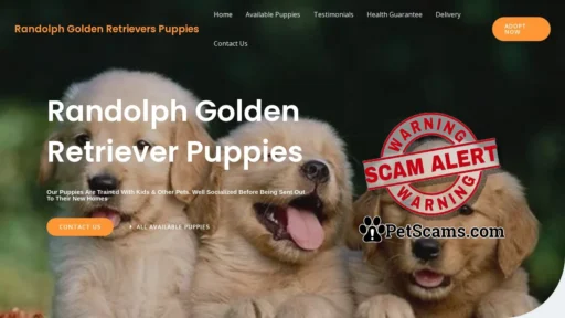 Scam Website: Randolph Golden Retrievers Puppies – Purebred Golden Retrievers Puppies For Sale