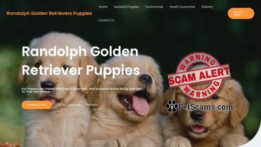 Scam Website: Randolph Golden Retrievers Puppies – Purebred Golden Retrievers Puppies For Sale