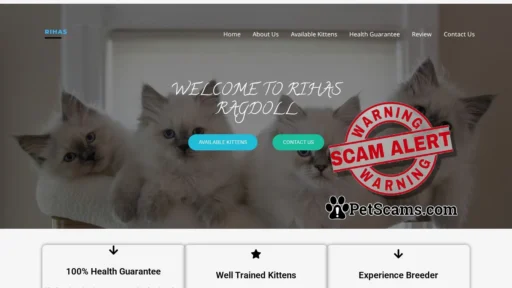 Scam Website: Rihas Ragdoll – Best Kittens For Your Home