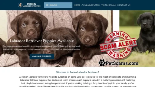 Scam Website: Roben Labrador Retrievers – Labrador Retriever puppies for sale