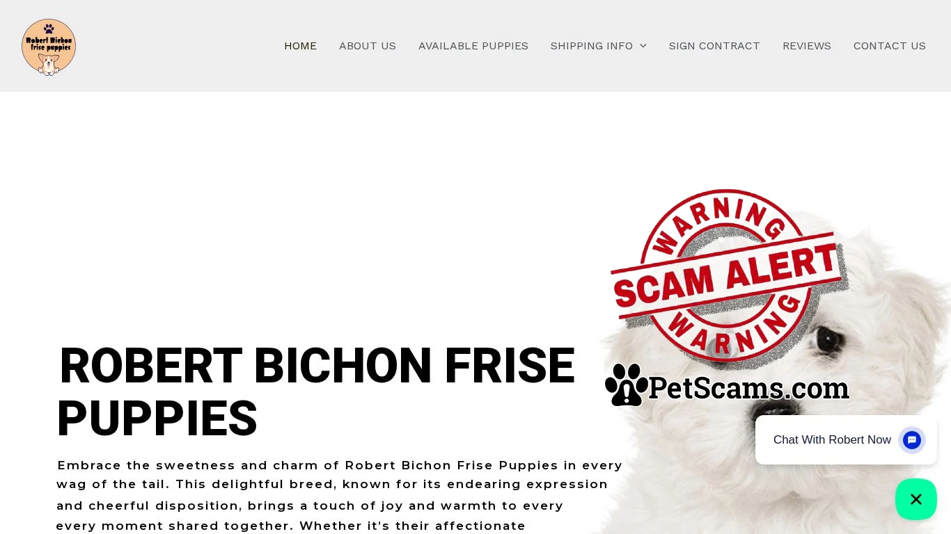 is robert bichonfrise puppies – Puppies for sale legit? screenshot