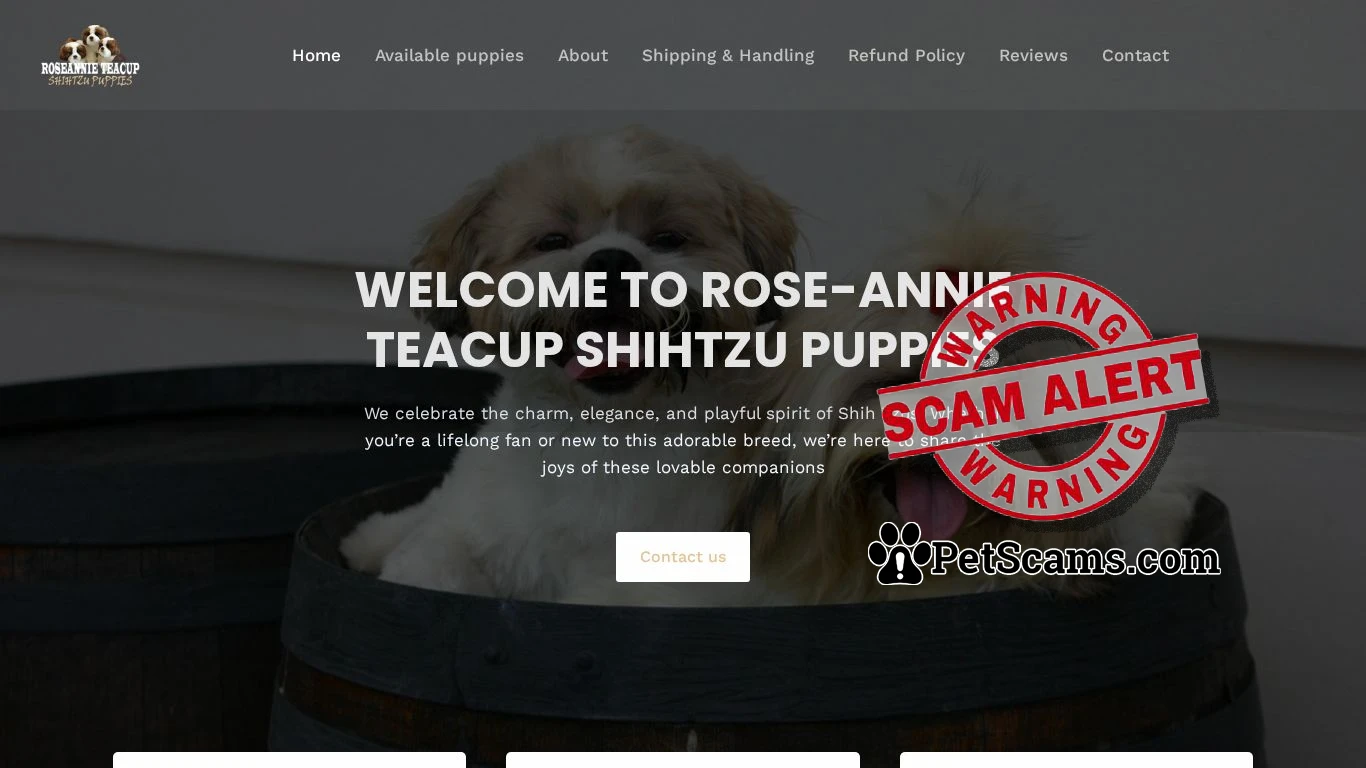 is Roseannie Teacupshihtzu Puppies – Tiny Shihtzu Puppies legit? screenshot