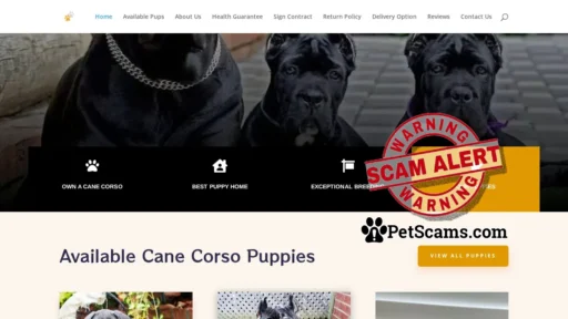 Scam Website: Royal Cane Corso Pups | Buy Pups online