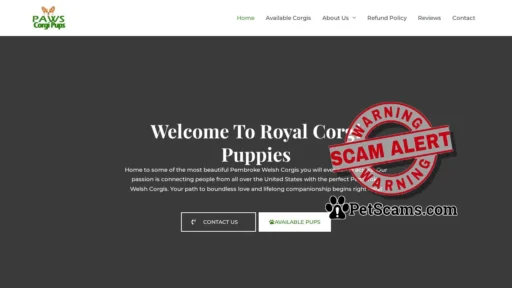 Scam Website: Royal Corgi Puppies – Trusted Breeding Partners