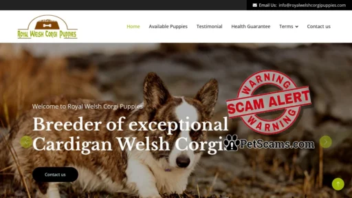 Scam Website: Welcome To Royal Welsh Corgi Puppies Website