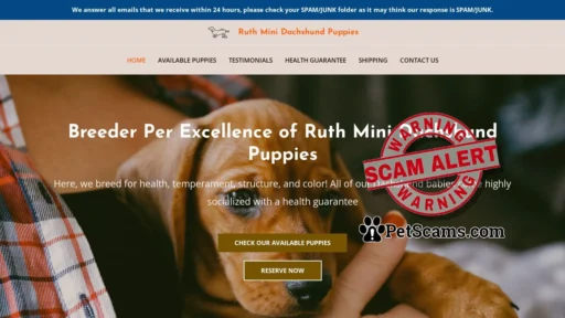 Scam Website: Ruth Mini Dachshund Puppies – Dachshund Puppies For Sale