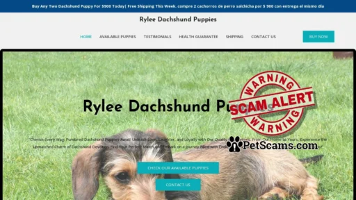Scam Website: Rylee Dachshund Puppies – Purebred Dachshund Puppies For Sale