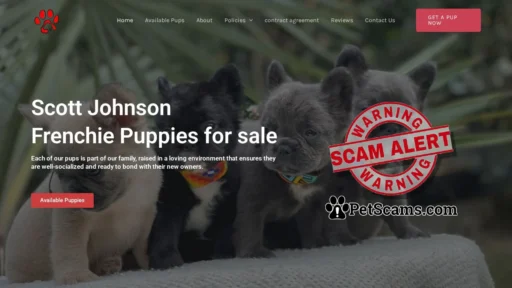 Scam Website: Scott Johnson Frenchies Home – Buy Pups online