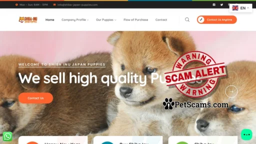 Scam Website: Shiba Japan Puppies