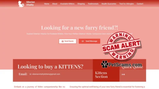Scam Website: Siberian Paw Prints - Looking for a new kittens friend!