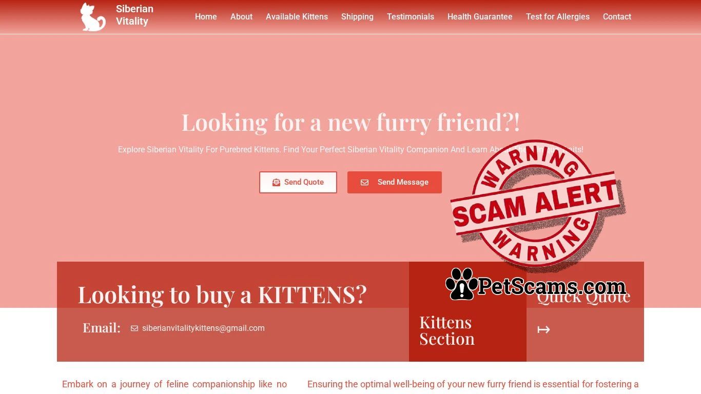 is Siberian Paw Prints - Looking for a new kittens friend! legit? screenshot