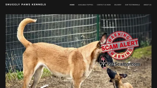 Scam Website: Puppies for Sale Now - Find Your Perfect Companion