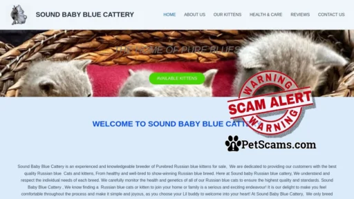 Scam Website: SOUND BABY BLUE CATTERY – Home of pure breed Russian blue kittens