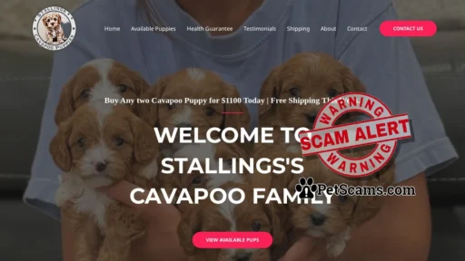 Scam Website: stallingscavapoopuppies.com