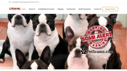 Scam Website: Starlight Puppies Home – Starlight Puppies Home