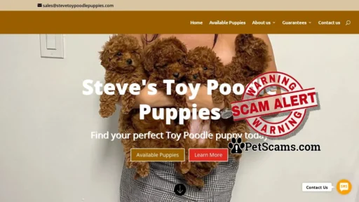 Scam Website: Home - Stave Toy Poodles Puppies
