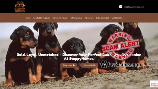 Scam Website: Soppy Homes – Buy Doberman Pinscher puppies at the comfort of your home, you don't ever have to be alone.