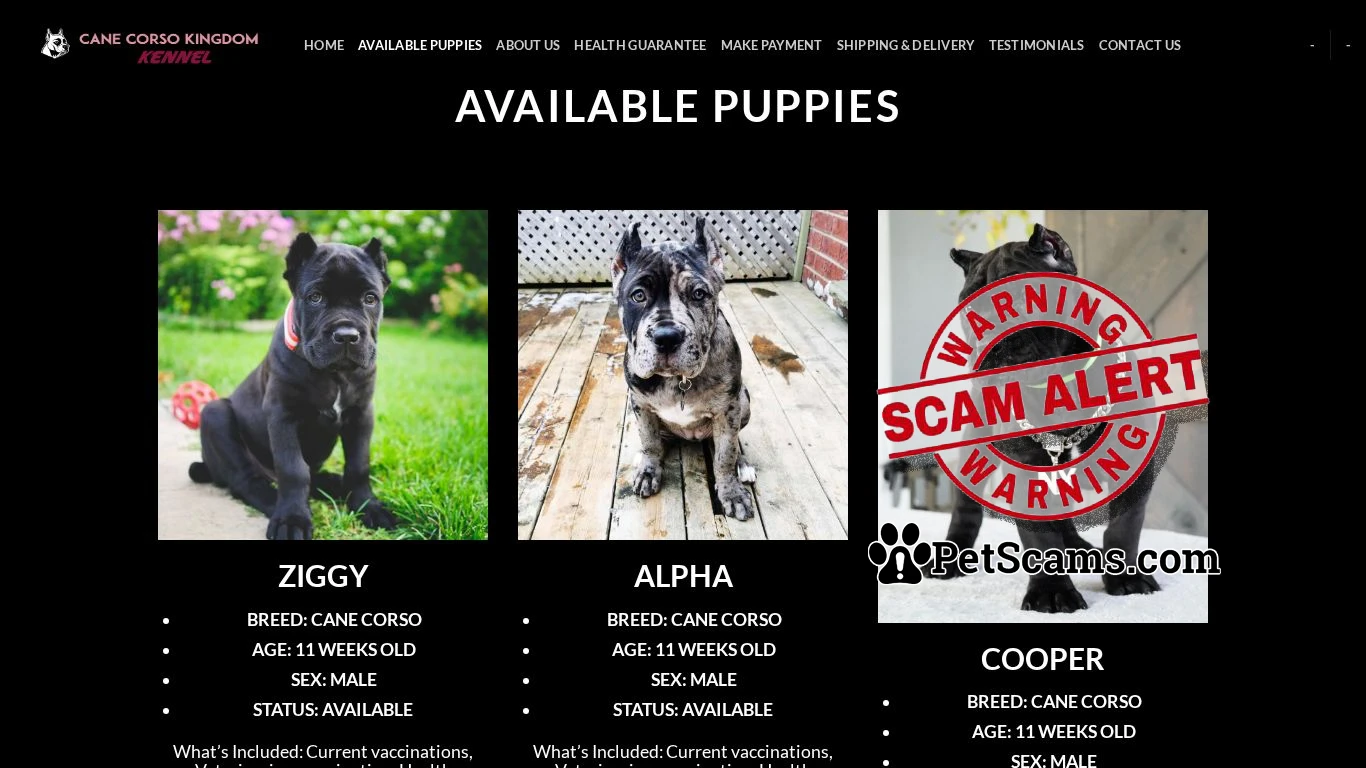 is Cane Corso Kingdom legit? screenshot