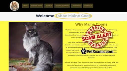 Scam Website: TAHOE MAINE COON