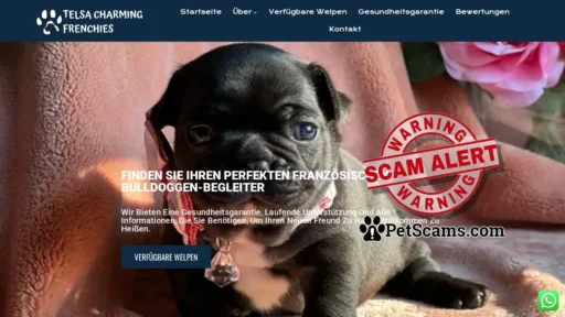 Scam Website: Home - Telsa French Bulldog Puppies