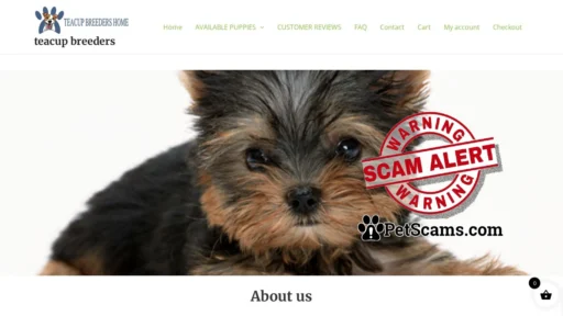 Scam Website: Home - teacup breeders