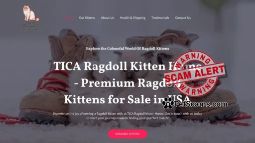 Scam Website: TICA Ragdoll Kitten Home – Ragdoll kittens For Sale