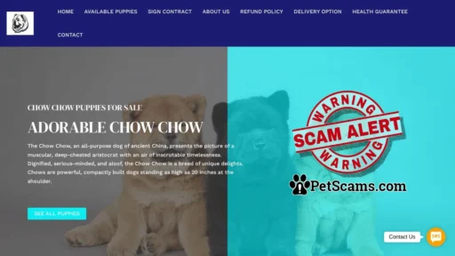 Scam Website: Trained Chow Chow Poppy – Buy pups online