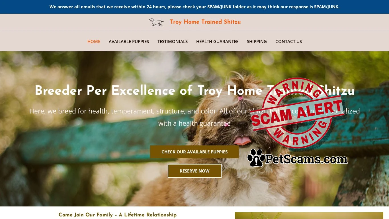 is Troy Home Trained Shitzu – Shitzu Puppies For Sale legit? screenshot
