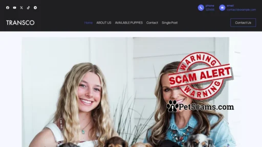 Scam Website: Home - vignessdachshundpuppies.com