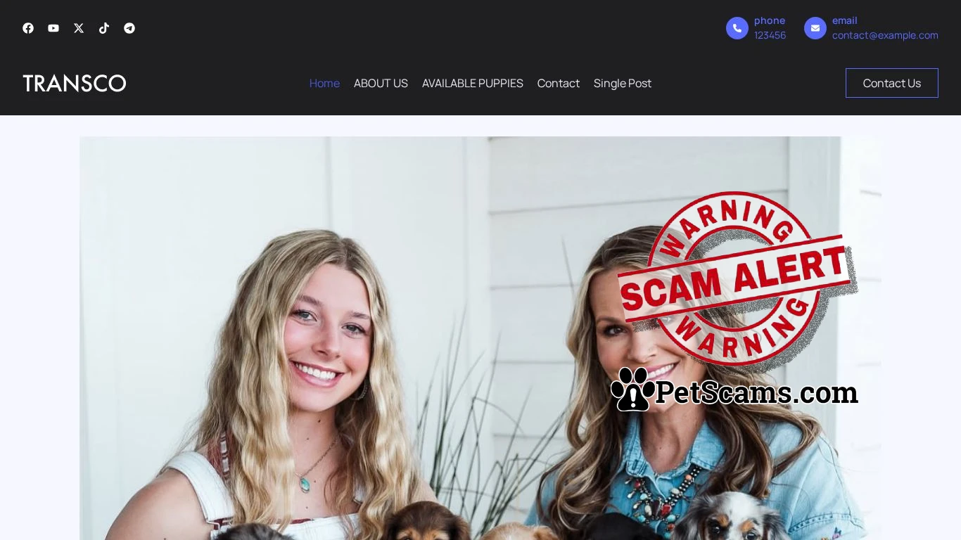 is Home - vignessdachshundpuppies.com legit? screenshot