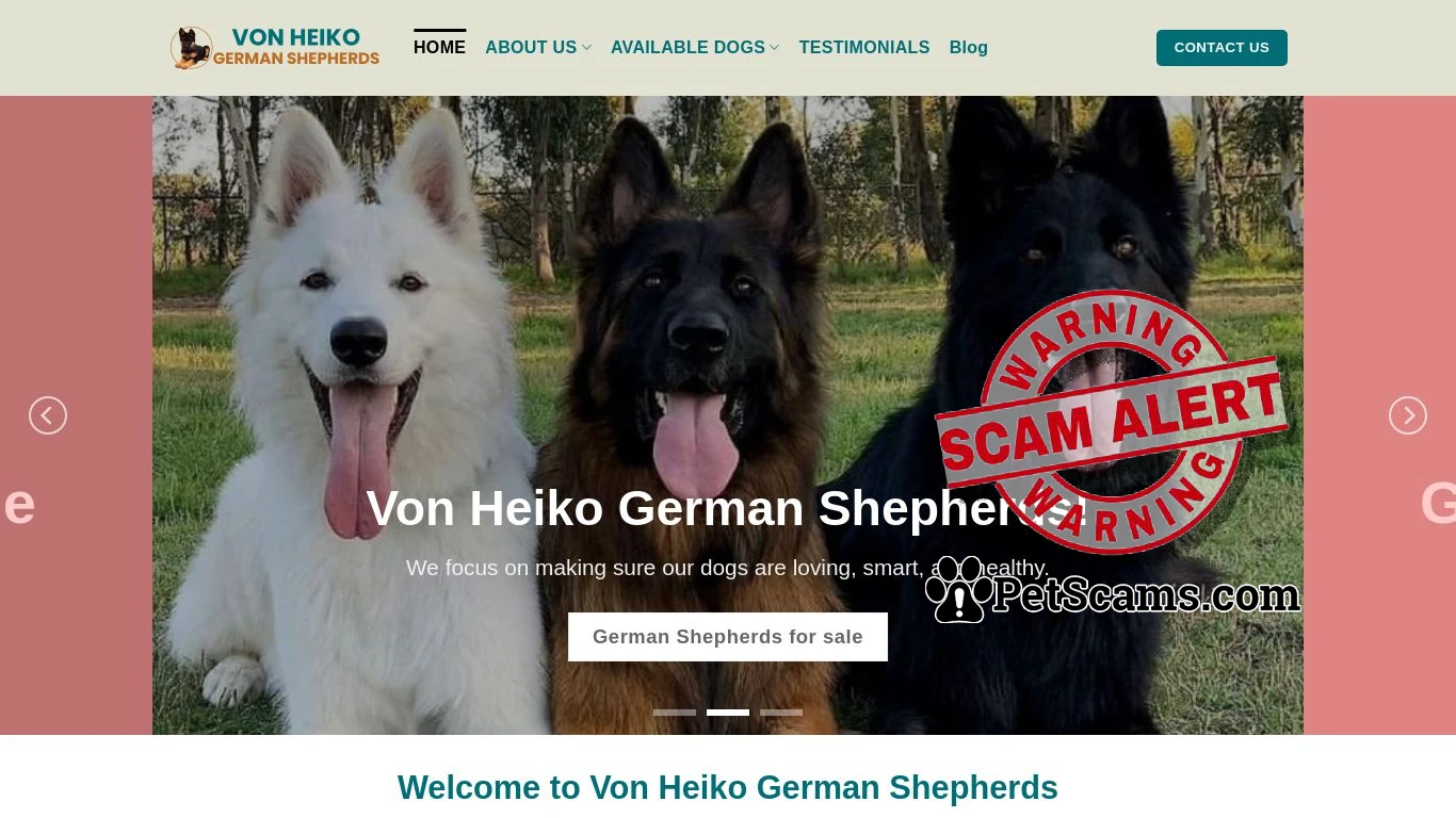 is Top German Shepherds Dog for Sale - Puppies Available Now legit? screenshot
