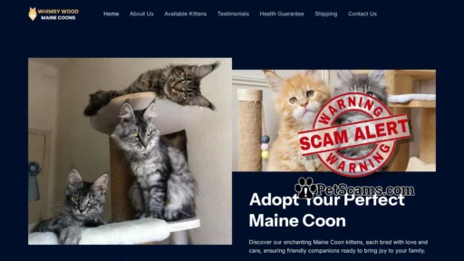 Scam Website: Whimsy Wood Maine Coons – Maine Coon Cattery