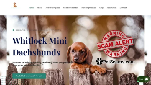 Scam Website: WhitLock Mini Dachshnds – .