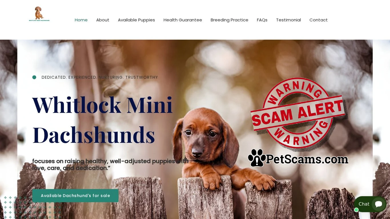 is WhitLock Mini Dachshnds – . legit? screenshot