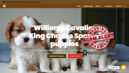 Scam Website: Home - Williams Cavalier King Charles Spaniel Puppies