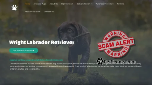 Scam Website: Wright Labrador Retriever – Labrador Pups for sale