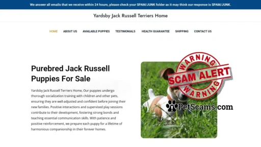 Scam Website: Yardsby Jack Russell Terriers Home – Jack Russell Puppies For Sale