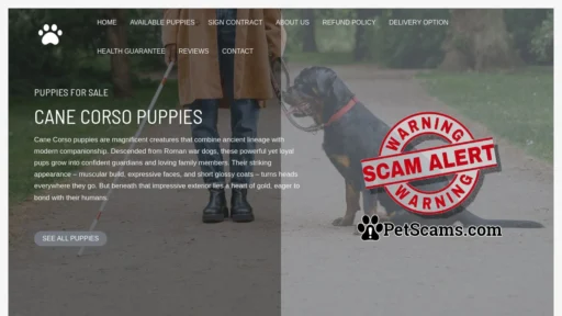 Scam Website: Yvette Cane Corso Puppies – Buy pups online