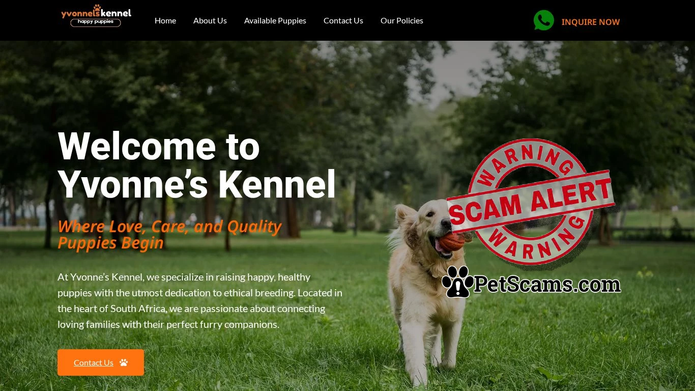 Scam Website: Yvonnes kennel Home - for Beautiful puppies in South africa