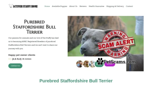 Scam Website: activestaffypuppiesforsale.com