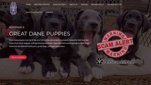 Scam Website: Adorable Great Dane Puppies – Buy pups online