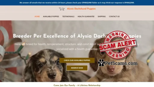 Scam Website: Alysia Dachshund Puppies – Dachshund Puppies For Sale