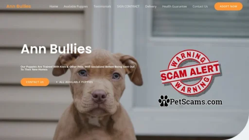 Scam Website: Ann Bullies – Purebred Bully Puppies For Sale