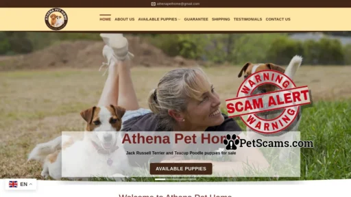 Scam Website: Athena Pet Home – Jack Russell Terrier and Teacup Poodle puppies puppies for sale