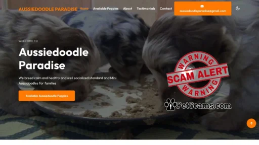 Scam Website: Aussiedoodle Paradise