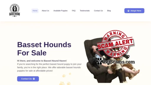 Scam Website: Basset Hounds For Sale | Basset Hound Haven