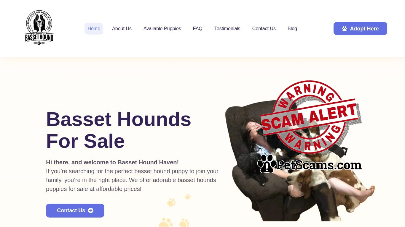is Basset Hounds For Sale | Basset Hound Haven legit? screenshot