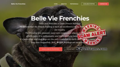 Scam Website: Home : Belle Vie Frenchies