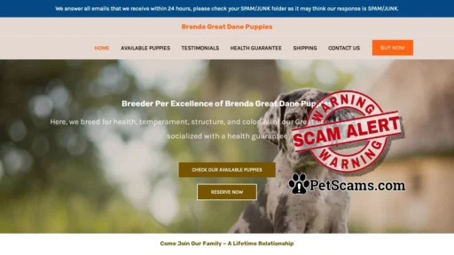 Scam Website: Brenda Great Dane Puppies – Great Dane Puppies For Sale