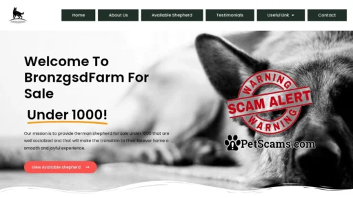 Scam Website: Bronzgsd Farm. – Beautiful Puppies For Sale